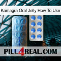 Kamagra Oral Jelly How To Use 40